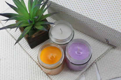 Ellen Glass Wax Candles – Assorted Pack of 3