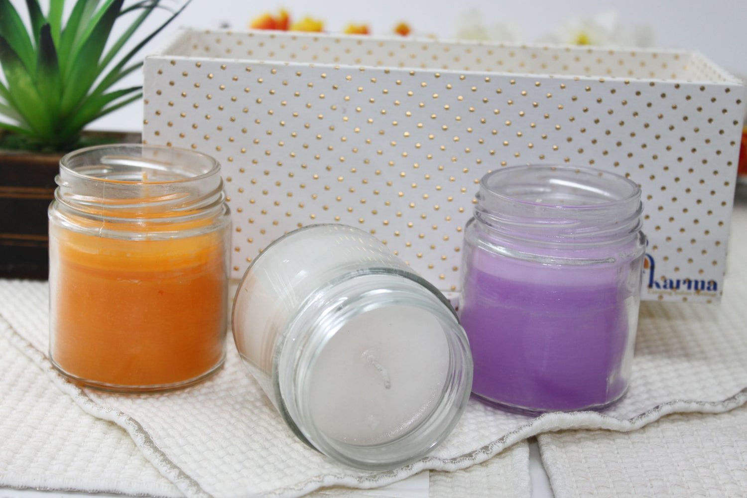 Ellen Glass Wax Candles – Assorted Pack of 3