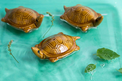 Lucky Charm Turtle – Set of 2