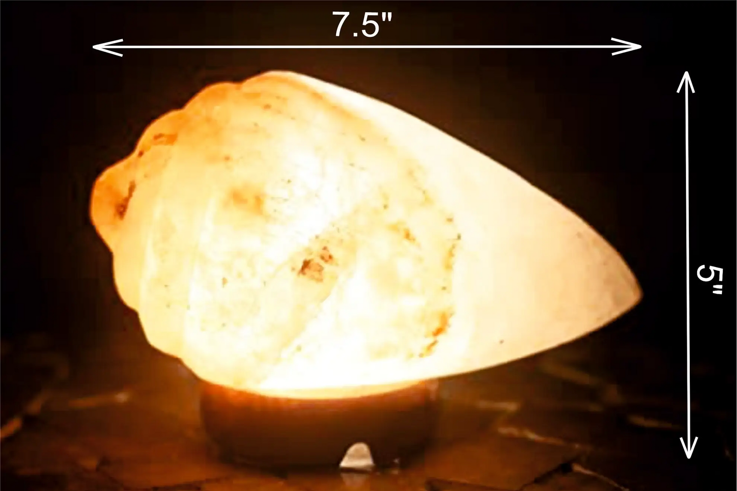 SCALLOP – HIMALAYAN ROCK SALT LAMP