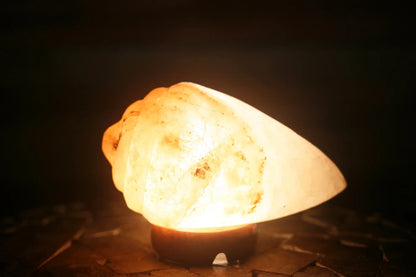 SCALLOP – HIMALAYAN ROCK SALT LAMP